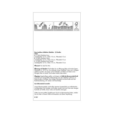 XXL Kollektion 'Rosa Landhaus' Gladiolen Größe 12/14, 25 Blumenzwiebeln XXL Kollektion 'Rosa Landhaus' Gladiolen Größe 12/14, 25 Blumenzwiebeln