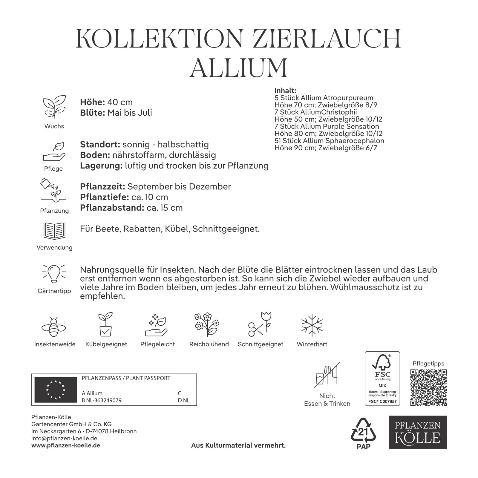 Zierlauch-Kollektion 70 Alliumzwiebeln Zierlauch-Kollektion 70 Alliumzwiebeln