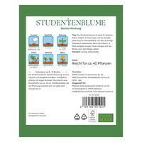 Kölles Beste Blumensamen, Studentenblume 'Bonita Mischung'