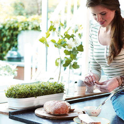 Elho Anzucht-Schale Green Basics, living black