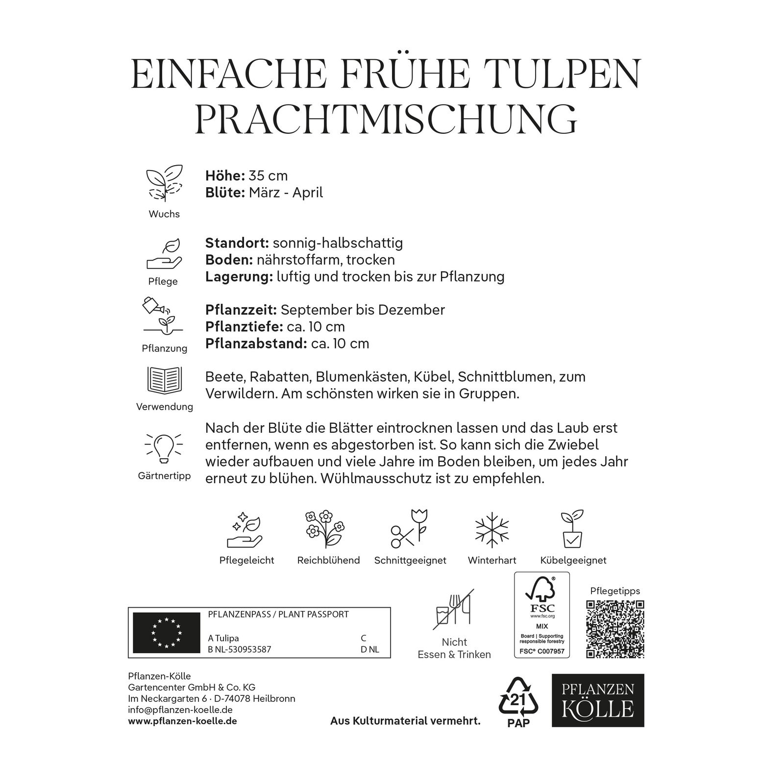 Einfache frühe Tulpen Prachtmischung, 20 Blumenzwiebeln