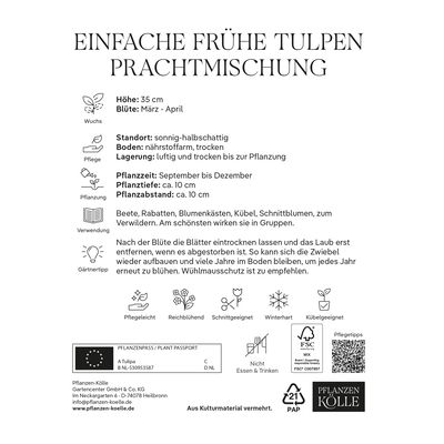 Einfache frühe Tulpen Prachtmischung, 20 Blumenzwiebeln Einfache frühe Tulpen Prachtmischung, 20 Blumenzwiebeln