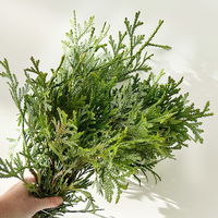 Thujopsis im Handbund, 3 Bund Thujopsis im Handbund, 3 Bund