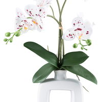 Kunstpflanze Phalaenopsis, weiß/rot, Höhe ca. 42 cm