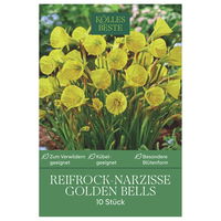 Narzisse 'Golden Bells', goldgelb, Größe 10/12, 10 Blumenzwiebeln