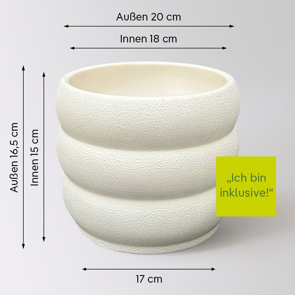 Duftender Drachenbaum 'Lemon Lime', Topf-Ø 17 cm, 2er Tuff, inkl. Topf Byron Duftender Drachenbaum 'Lemon Lime', Topf-Ø 17 cm, 2er Tuff, inkl. Topf Byron