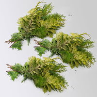 Scheinzypresse 'Crippisii' im Handbund, 3 Bund Scheinzypresse 'Crippisii' im Handbund, 3 Bund