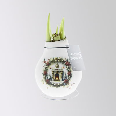 Amaryllis in Wachs, Dekor 'Christmas Eve', Muster zufällig, Blüte rot