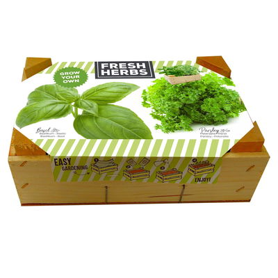Kleine Kräuter-Anzuchtkiste mit Basilikum & Petersilie Kleine Kräuter-Anzuchtkiste mit Basilikum & Petersilie