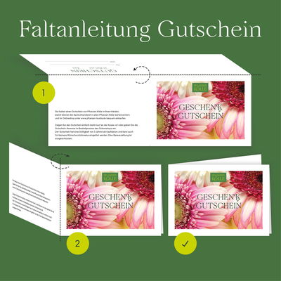 Gutschein zum Ausdrucken 'Grünpflanze' Gutschein zum Ausdrucken 'Grünpflanze'