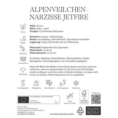 Zwergnarzissen Jetfire gelb-orange, 15 Blumenzwiebeln Zwergnarzissen Jetfire gelb-orange, 15 Blumenzwiebeln