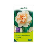 Gefüllte Narzissen Replete weiß mit rosa Mitte, 5 Blumenzwiebeln