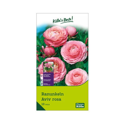 Ranunkel Aviv (Hahnenfuß) rosa, 10 Blumenzwiebeln Ranunkel Aviv (Hahnenfuß) rosa, 10 Blumenzwiebeln