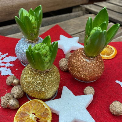 Hyazinthe in Wachs Glitter Metallic Mix, Farben zufällig, 4 Stück