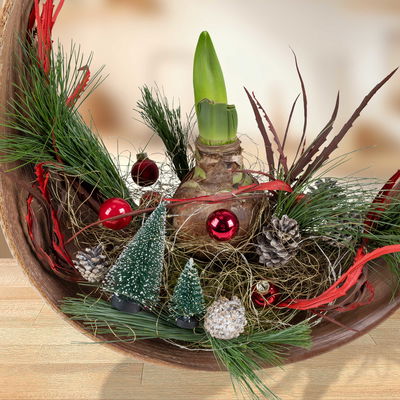 Gartenschule Kreativ  Gartenschule Kreativ