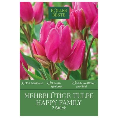 Mehrblütige Tulpe 'Happy Family', rosa, 7 Blumenzwiebeln