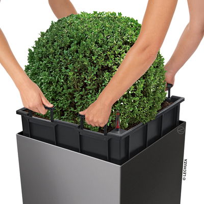 Lechuza 'Cube Premium 50', weiß, ca. 49 x 49 x H 49,5 cm