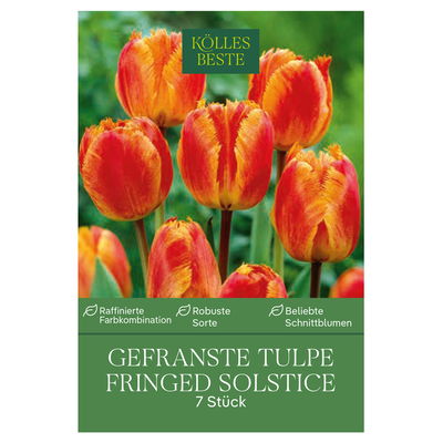 Kölles Beste Gefranste Tulpe 'Fringed Solstice®', rot/orange, 7 Blumenzwiebeln Kölles Beste Gefranste Tulpe 'Fringed Solstice®', rot/orange, 7 Blumenzwiebeln