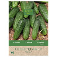 Kölle Bio Gemüsesamen, Einlegegurke 'Diamant'