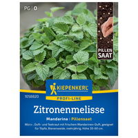 Saatgut Zitronenmelisse 'Mandarina'