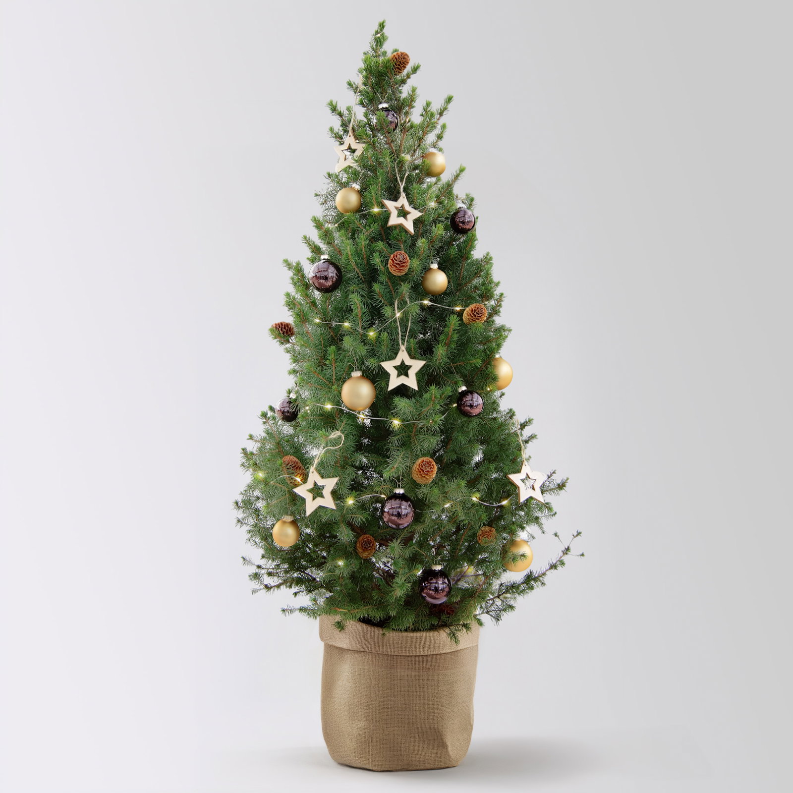 Weihnachtsbäumchen inkl. Deko, braun-gold, Jutesack natur, Höhe ca. 120 cm Weihnachtsbäumchen inkl. Deko, braun-gold, Jutesack natur, Höhe ca. 120 cm