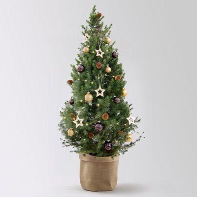 Weihnachtsbäumchen inkl. Deko, braun-gold, Jutesack natur, Höhe ca. 120 cm Weihnachtsbäumchen inkl. Deko, braun-gold, Jutesack natur, Höhe ca. 120 cm