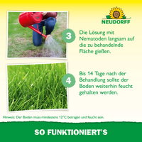 Neudorff Bestell-Set Nützlinge gegen Wiesenschnacken, 10 Mio Stück Neudorff Bestell-Set Nützlinge gegen Wiesenschnacken, 10 Mio Stück
