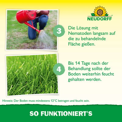 Neudorff Bestell-Set Nützlinge gegen Wiesenschnacken, 10 Mio Stück Neudorff Bestell-Set Nützlinge gegen Wiesenschnacken, 10 Mio Stück