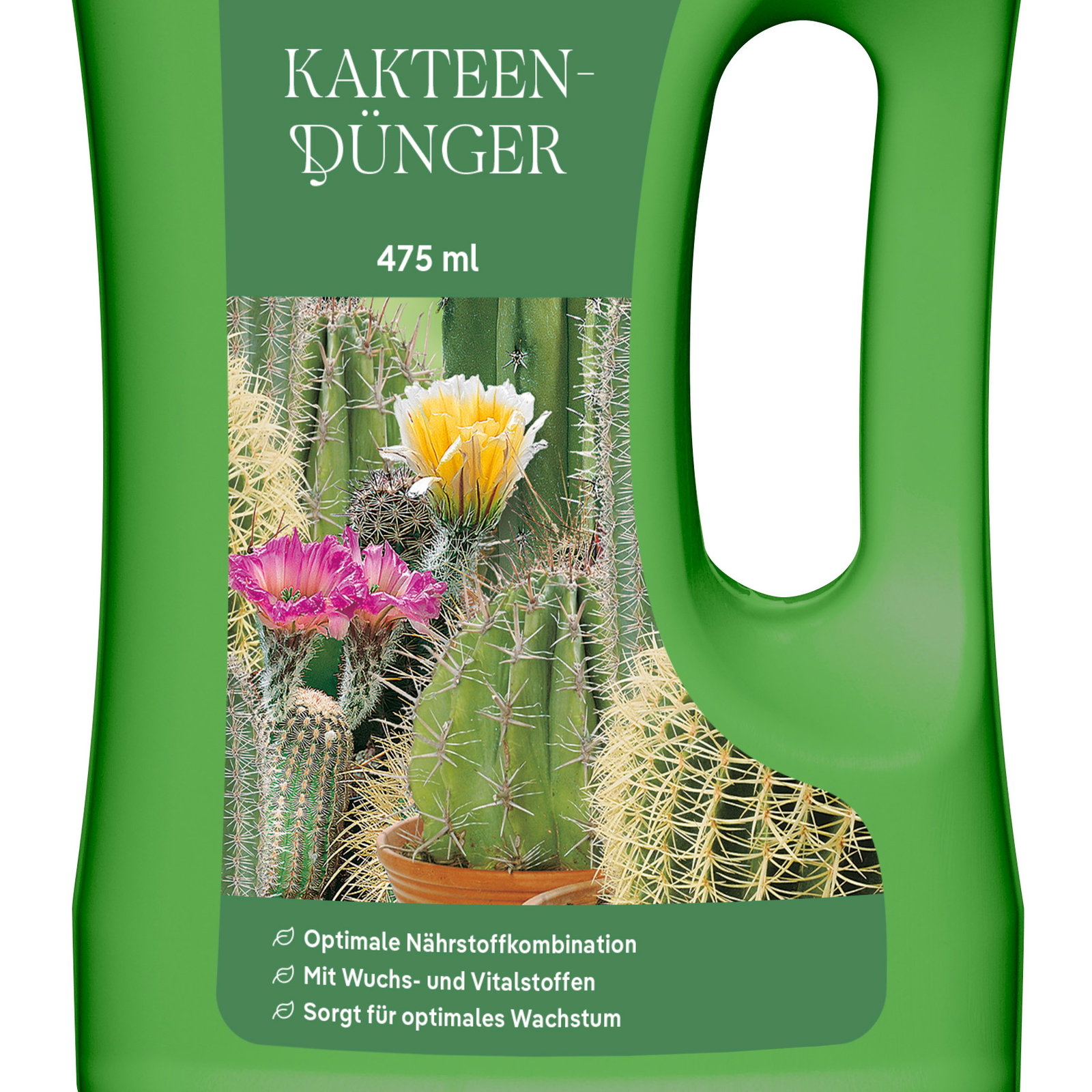 Kölles Beste Kakteendünger, 475 ml Kölles Beste Kakteendünger, 475 ml