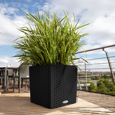 Lechuza 'Cube Cottage 30', graphitschwarz, ca. 29,5 x 29,5 x H 30 cm