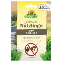 Neudorff Bestell-Set Nützlinge gegen Ameisen, 10 Mio Stück Neudorff Bestell-Set Nützlinge gegen Ameisen, 10 Mio Stück
