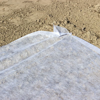 Kölle Gartenvlies natur, 10x1,5 m Kölle Gartenvlies natur, 10x1,5 m