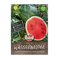 Gemüsesamen, Wassermelone 'Mini Love'
