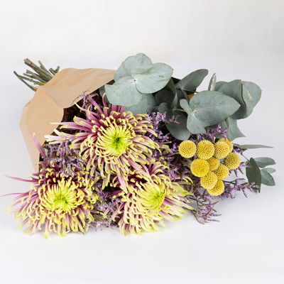 Bunter Schnittblumen-Mix mit Craspedia, Eukalyptus & Chrysanthemen
