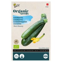 Gemüsesamen, Zucchini 'Black Beauty', grün, 2 g