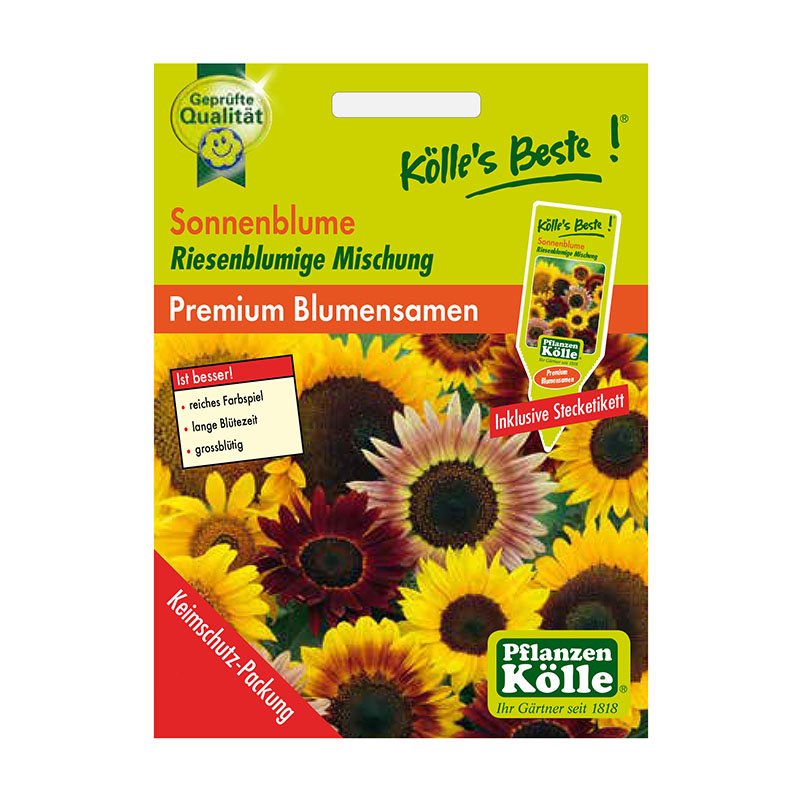 Kölle's Beste Blumensamen Sonnenblume Riesenblumige Mischung (Helianthus)