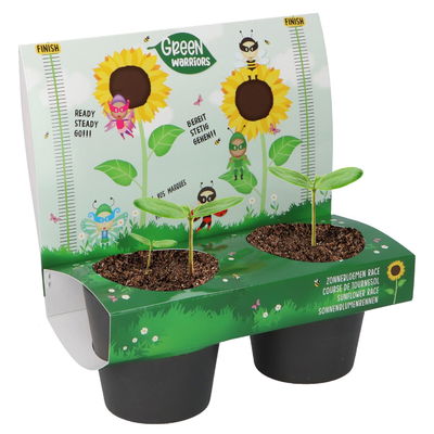 Sonnenblumensamen-Set 'Sonnenblumenrennen' Sonnenblumensamen-Set 'Sonnenblumenrennen'