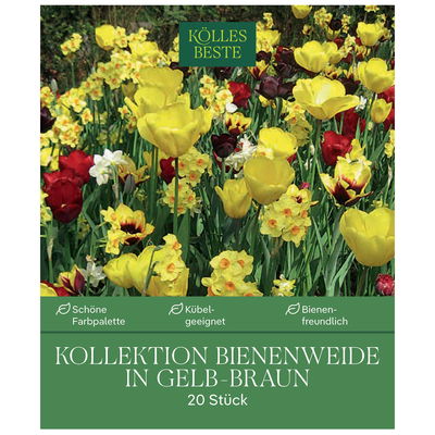 Bienenweide-Mischung Tulpe & Narzisse, gelb-kastanienbraun, 20 Blumenzwiebeln Bienenweide-Mischung Tulpe & Narzisse, gelb-kastanienbraun, 20 Blumenzwiebeln
