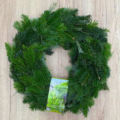 Adventskranz, Nordmanntanne, rund gebunden, ca. 40 cm Ø