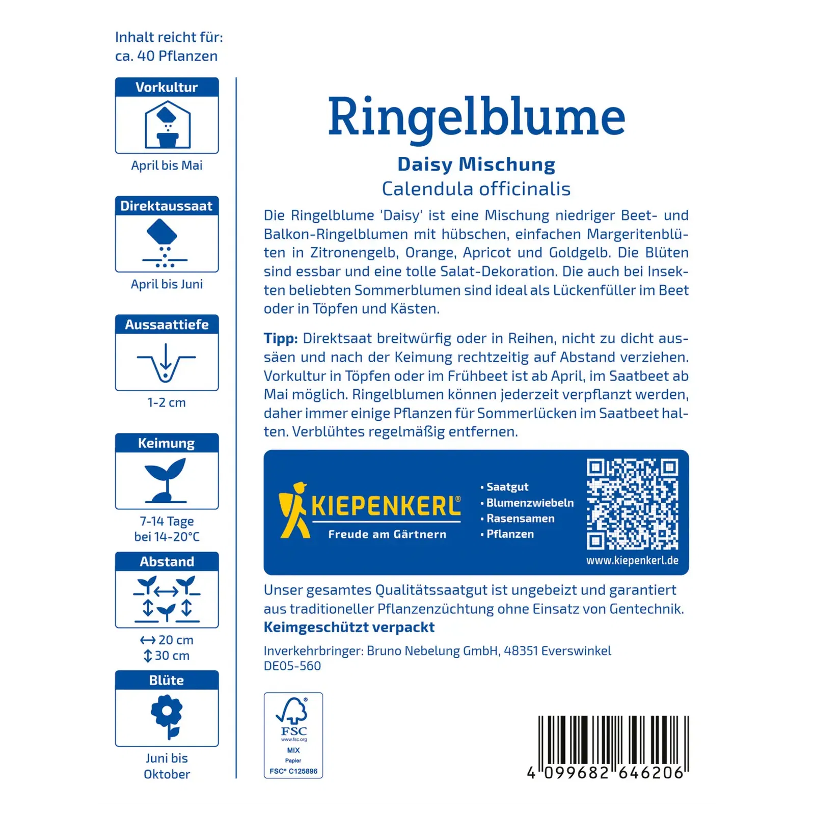 Kiepenkerl Saatgutmischung Ringelblume 'Daisy'