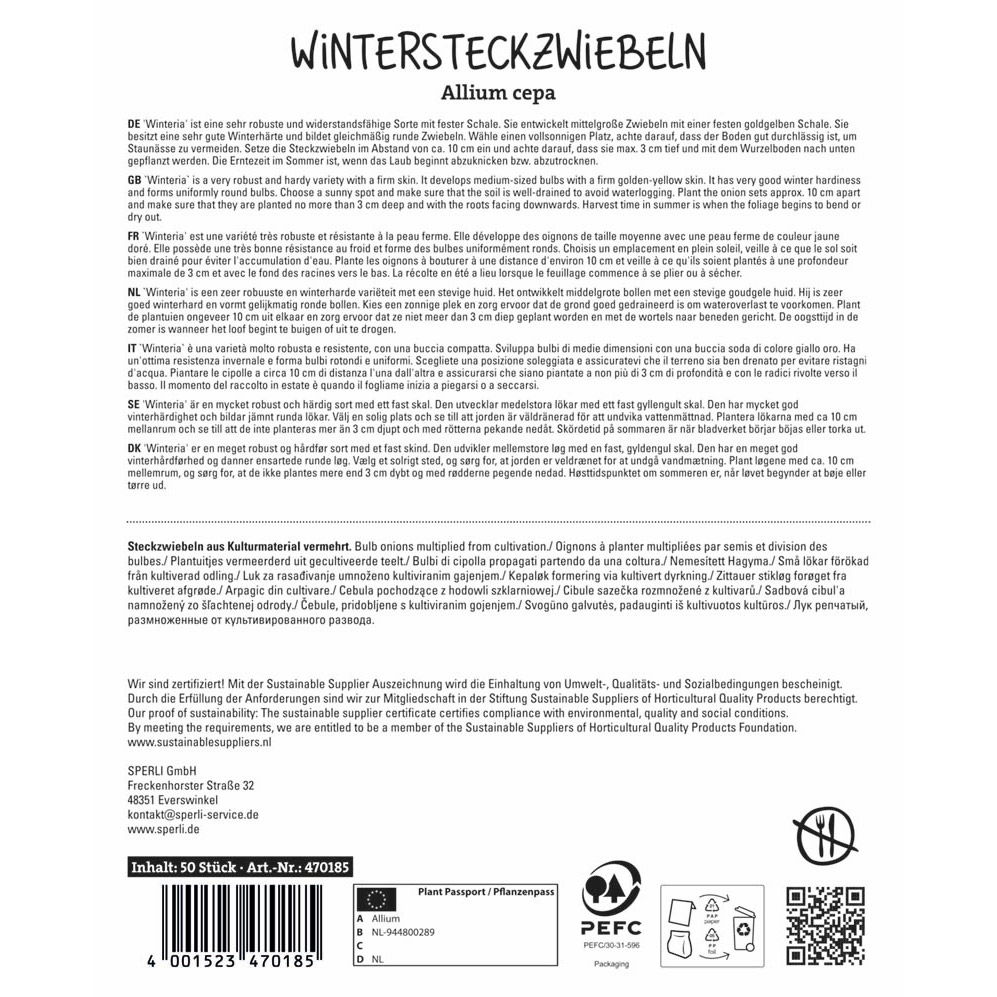 Sperli Wintersteckzwiebeln 'Winteria®', gelb, 50 Zwiebeln