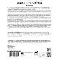 Sperli Wintersteckzwiebeln 'Winteria®', gelb, 50 Zwiebeln