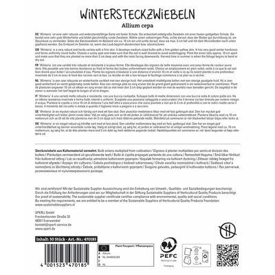 Sperli Wintersteckzwiebeln 'Winteria®', gelb, 50 Zwiebeln Sperli Wintersteckzwiebeln 'Winteria®', gelb, 50 Zwiebeln