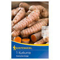 Kiepenkerl Kurkuma