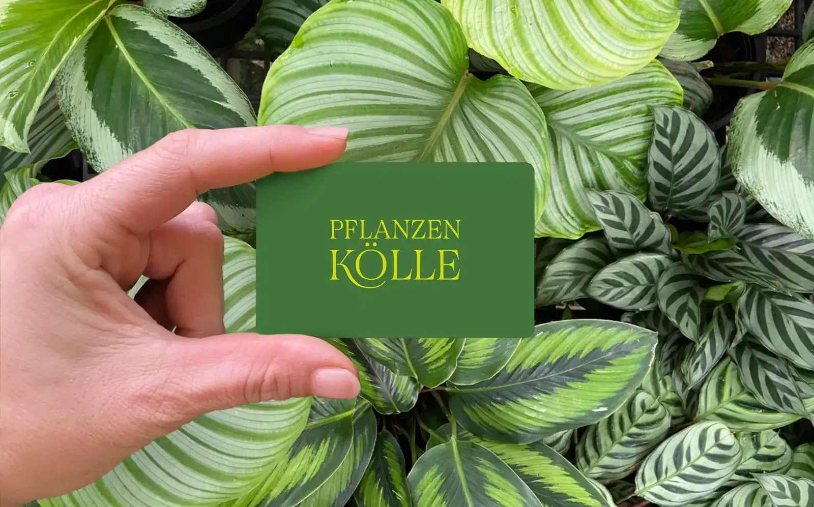 Kundenkarte Kundenkarte