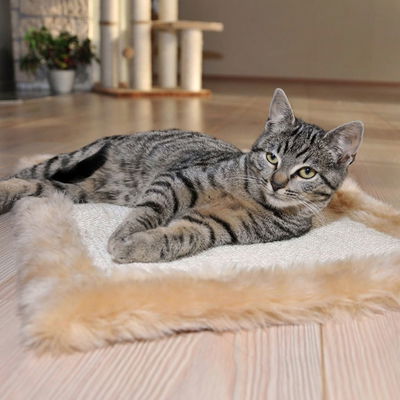 Silvio Design Möbelschoner für Katzen, beige Silvio Design Möbelschoner für Katzen, beige