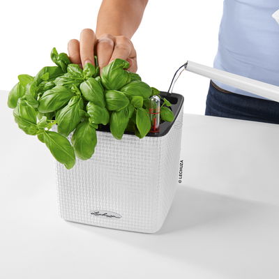 Lechuza 'Green Wall Home Kit Color', weiß, ca. 48 x 15 x H 14 cm Lechuza 'Green Wall Home Kit Color', weiß, ca. 48 x 15 x H 14 cm