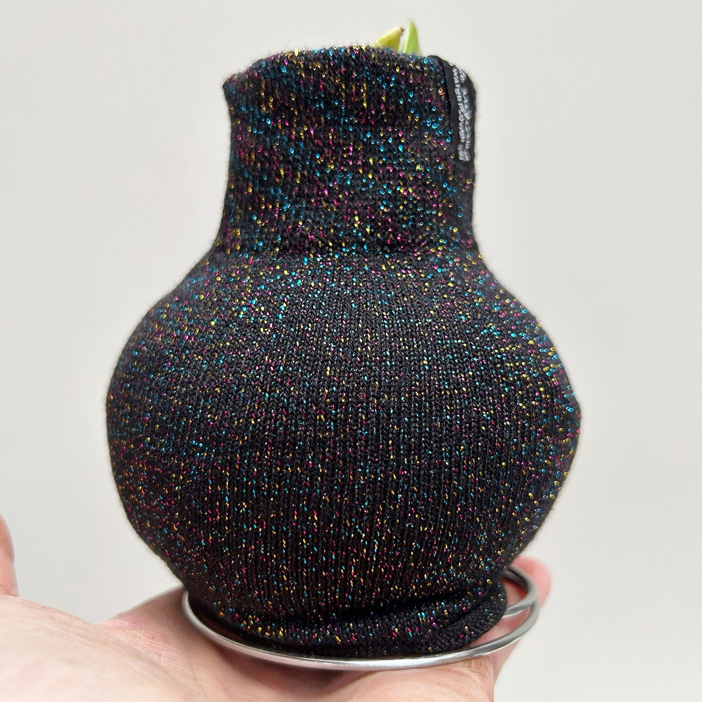 Amaryllis in Wachs, Dekor 'Pullover Fashionz Pattern' zufällig, Blüte rot Amaryllis in Wachs, Dekor 'Pullover Fashionz Pattern' zufällig, Blüte rot