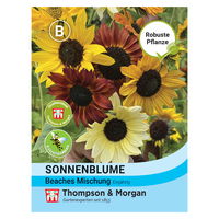 Thompson & Morgan Sonnenblumen-Mischung 'Beaches®', bunt