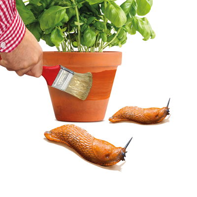 Schnexagon, Anstrich gegen Schnecken, 375 ml Schnexagon, Anstrich gegen Schnecken, 375 ml